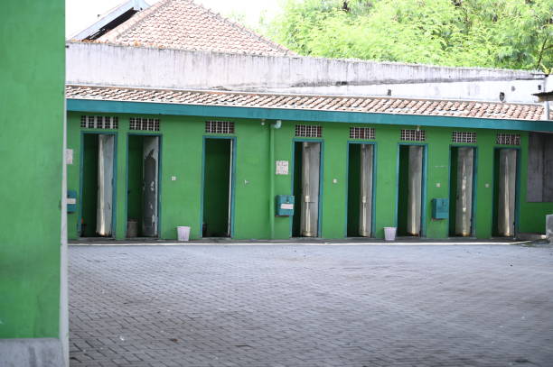 Best Porta potty cleaning services  in Pine Lakes, FL